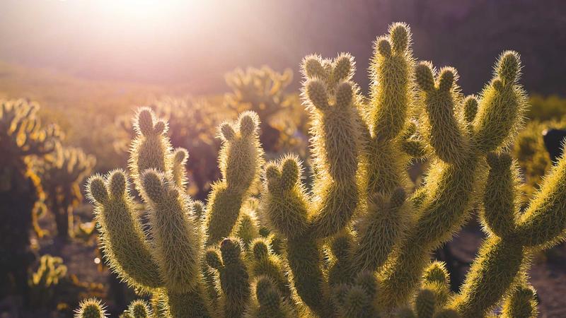 Featured image for Agnthq Com article