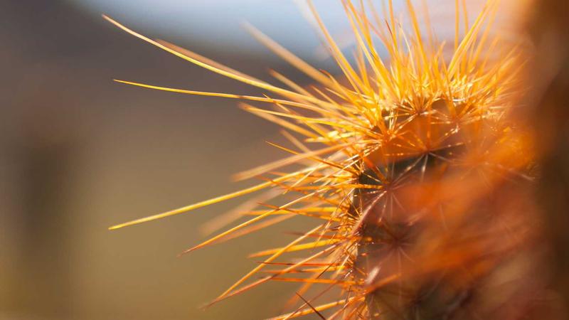 Featured image for Agnthq Com article