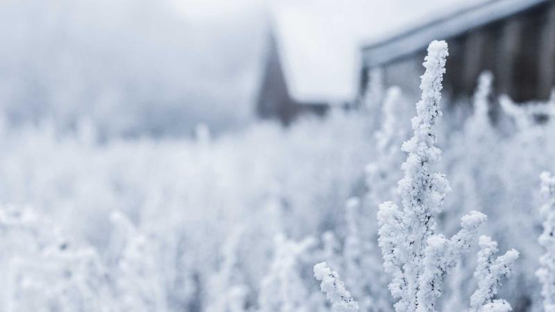 Featured image for Agnthq Com article