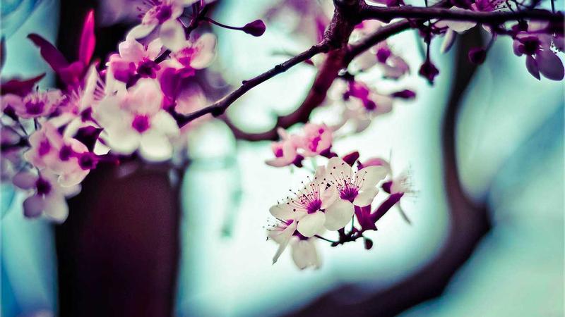 Featured image for Agnthq Com article