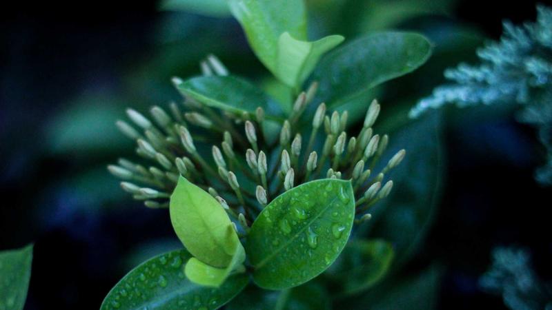 Featured image for Agnthq Com article