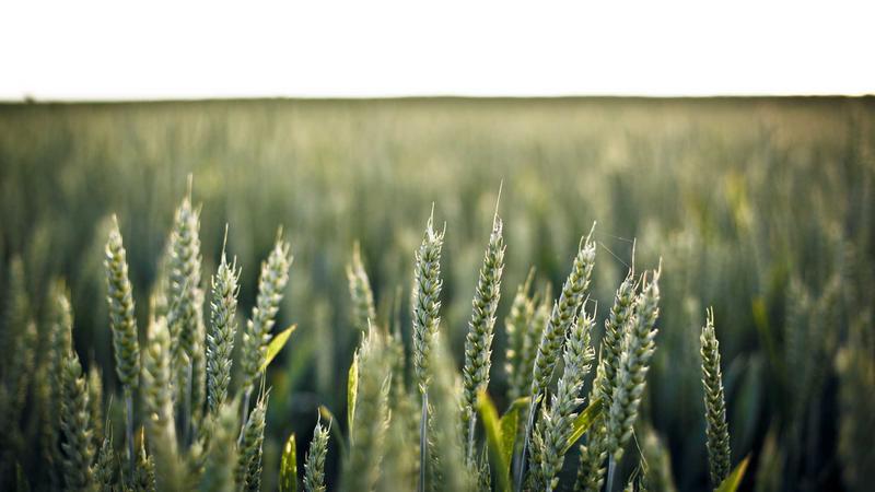 Featured image for Agnthq Com article