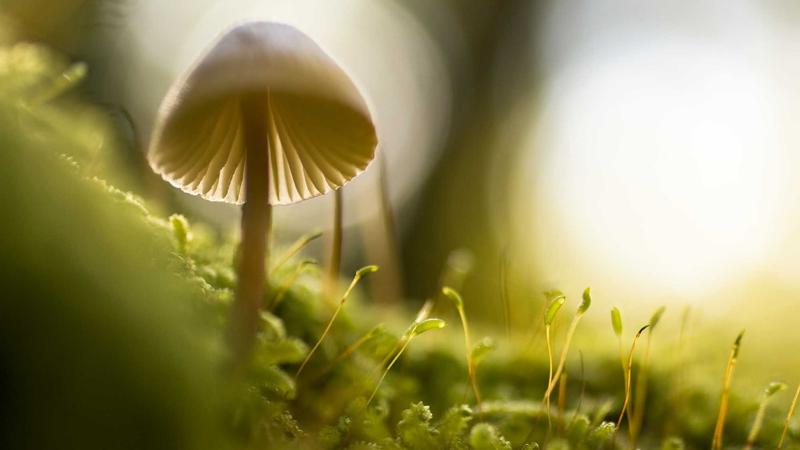 Featured image for Agnthq Com article