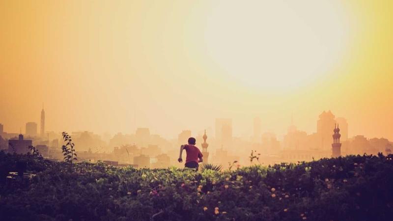 Featured image for Agnthq Com article