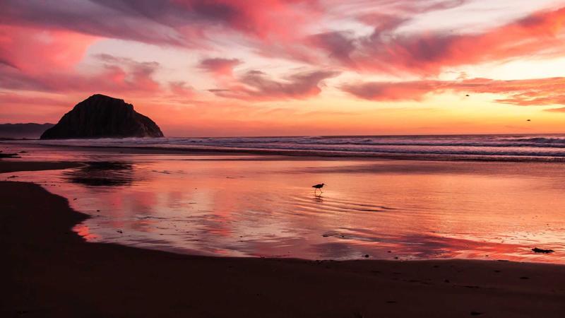 Featured image for Agnthq Com article