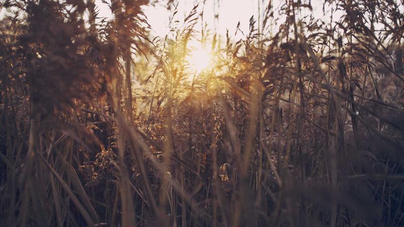 Featured image for Agnthq Com article