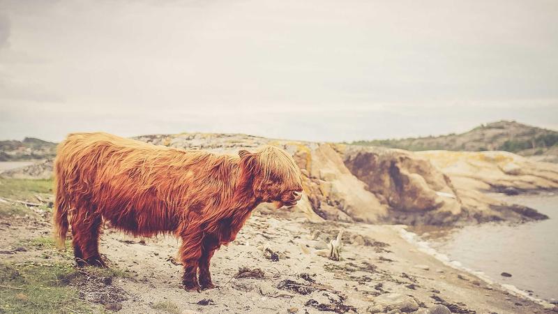 Featured image for Agnthq Com article