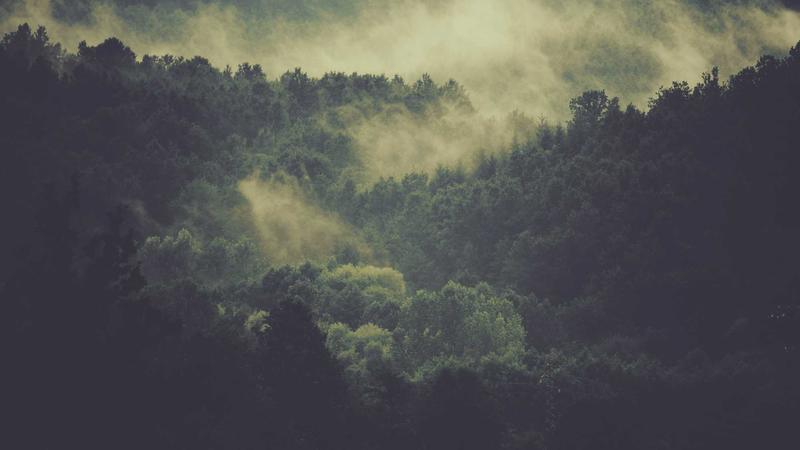 Featured image for Agnthq Com article